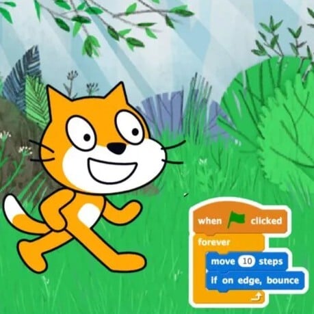 scratch-ninja